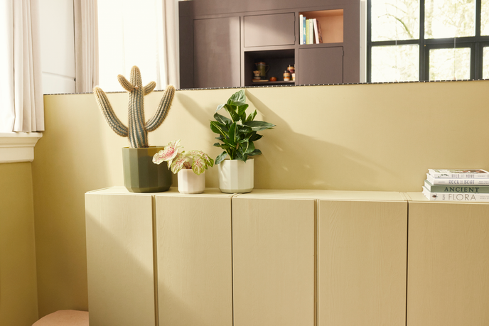 facet rund 14cm mandelrosa